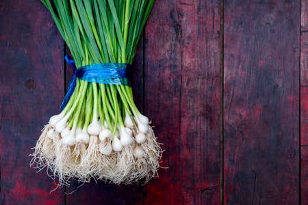 Fresh green garlic small Harvested from the farm Placed on a red-black wooden table To be sold in the market. with blank copy space.の写真素材