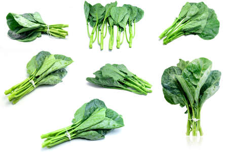 Thai style kale - Green kale isolated on white background.の写真素材