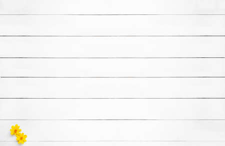 White wood floor texture and background. Yellow flower on white wood backdrop.の写真素材