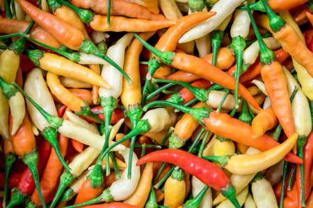 Fresh chili pepper for background. Top view