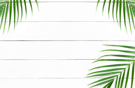 Green leaves of palm tree on white wood table background, Tropical green palm leaves, Top view, Flat lay.の写真素材