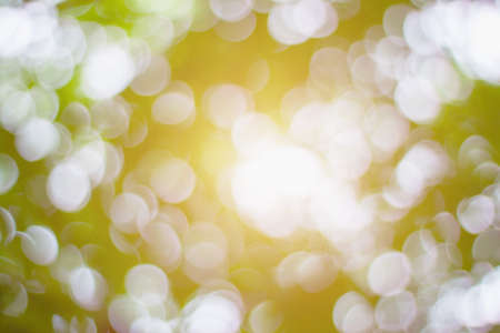 Abstract Nature Blurred circular bokeh on green backgroundの写真素材