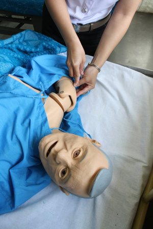 man human model for educationの写真素材