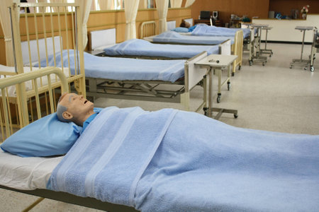 man human model for educationの写真素材