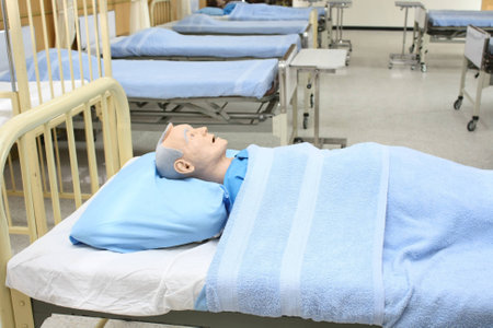 man human model for educationの写真素材