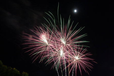 firework celebrationの写真素材