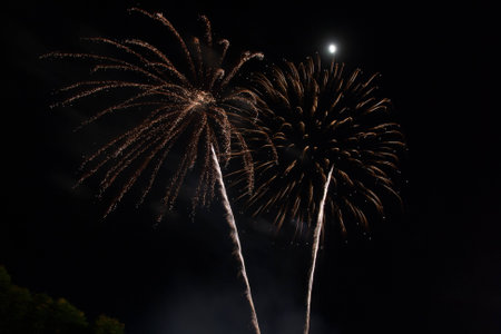 firework celebrationの写真素材