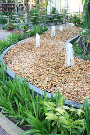 garden  designs use stone to decor and natureの写真素材