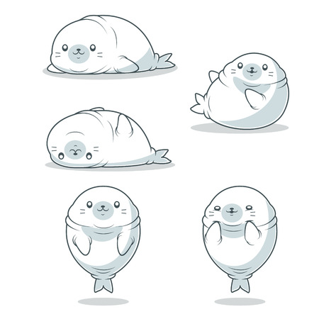 kawaii fat seal vectorの写真素材