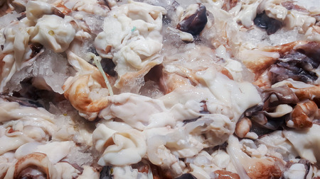 Octopus Sold in the market.の写真素材