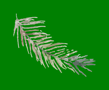 Watercolor painting of a delicate fern branch, capturing nature's gentle beauty.の写真素材