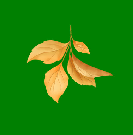 Watercolor illustration of autumn leaves, featuring vibrant golden hues on a green background.の写真素材