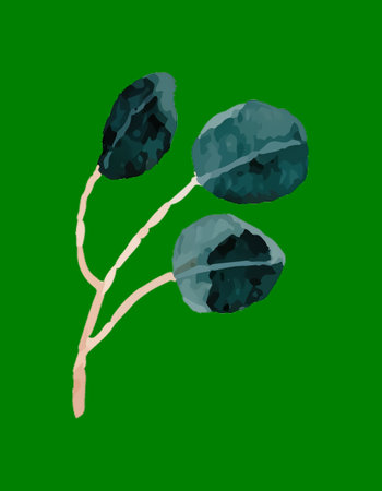 Watercolor illustration of eucalyptus leaves on a stem against a green backgroundの写真素材
