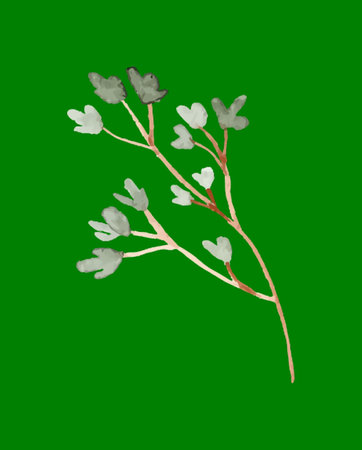 Watercolor botanical illustration of a delicate branch with green leaves on green backgroundの写真素材