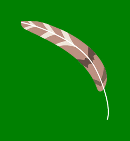 Brown and white feather, illustration featuring a curved design, isolated on black backgroundの写真素材