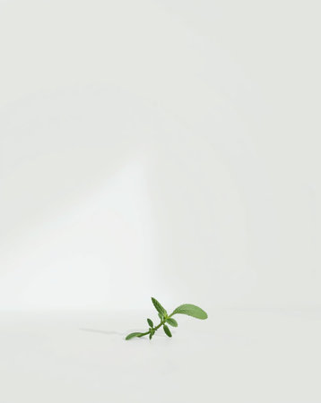 A sprig of spearmint lies gracefully on a clean, white surface, reflecting soft, natural light. The composition exudes simplicity and freshness.の素材
