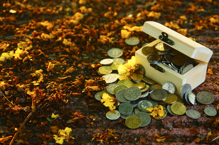 coins inside wooden box on the ground with flower combined with sunset colour toneの写真素材
