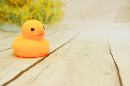 Yellow duck toys over wooden table topの写真素材
