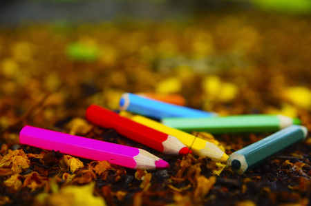 Colourful Colour Pencil And Flower Drop On The Groundの写真素材