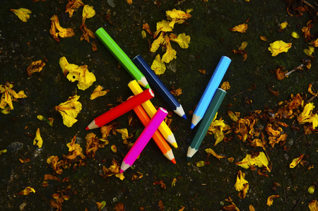 Colourful Colour Pencil And Flower Drop On The Groundの写真素材