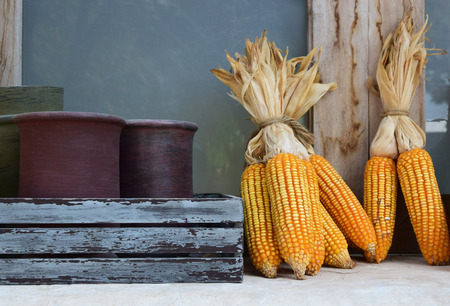 Artificial corn used for decorationの写真素材