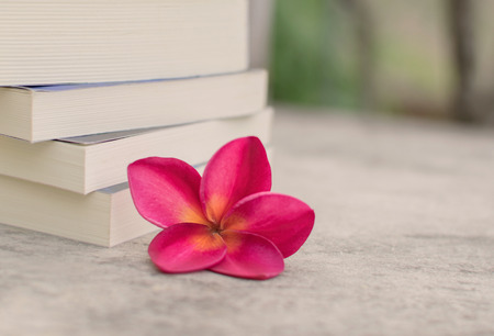 Spend time with favorite books  at homeの写真素材