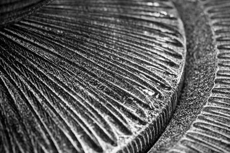 Abstract art modern cement texture design with the striped line for backdrop and backgrounds.の写真素材