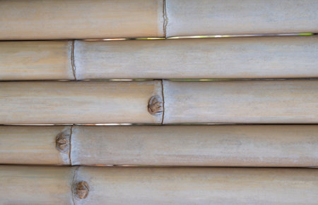 Close-up row of bamboo cylinder texture with the horizontal pattern background for text design.の写真素材