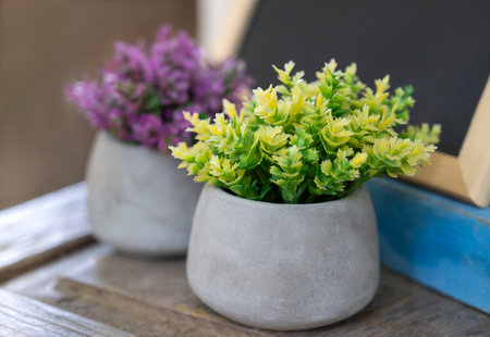 Close-up bouquet of green and purple artificial leaves in the flowerpot for decorates in the room.の写真素材