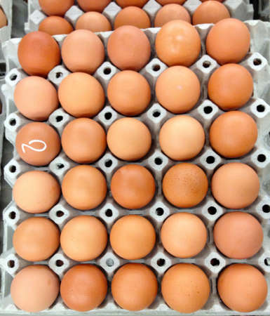 Pack of very eggsの写真素材