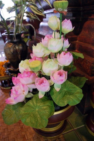 Bouquet of lotus flowers in the vaseの写真素材