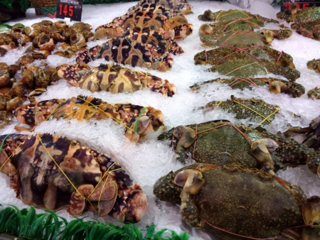 Fresh seafood marketの写真素材