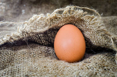 Chicken egg of Still Life on Linen.の写真素材