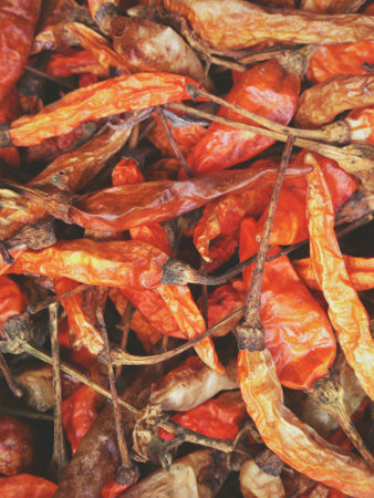 dried peppersの素材