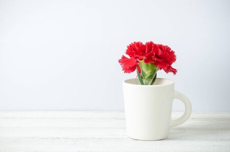 Still life with red Carnation flower in a cup  on white painted wooden planks. Place for text.の写真素材