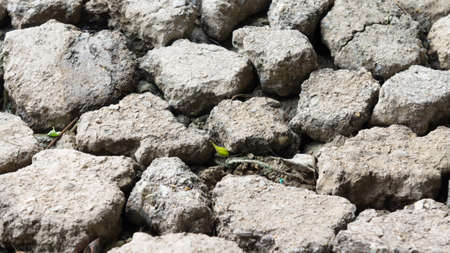 background of stoneの写真素材