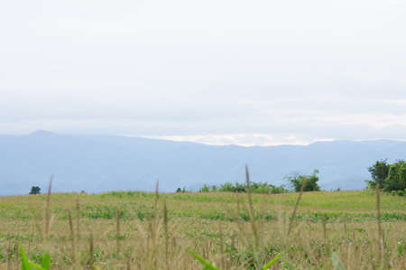 Amazing far mountain and cloudの写真素材