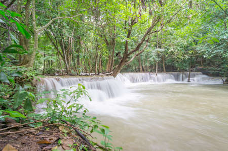 Long waterfall in beauty forestの写真素材