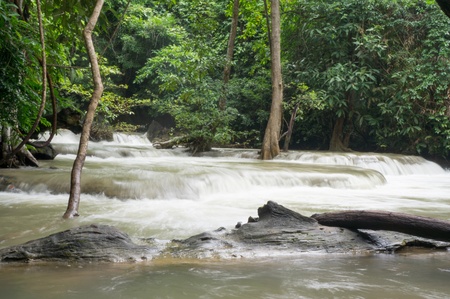Rainforest and water fall in thailandの写真素材