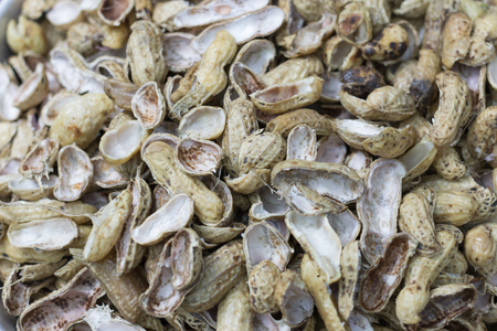Close up nut shell detail