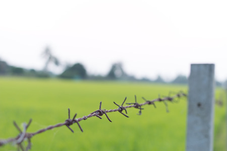 Relax place in country sideの写真素材