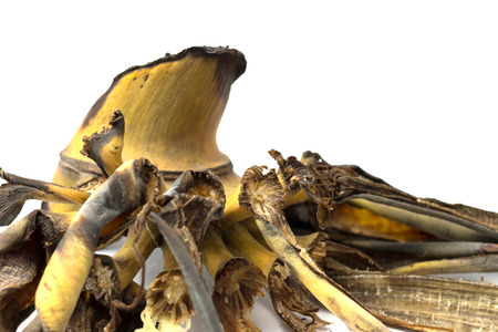 remain of ripe banana in white backgroundの写真素材