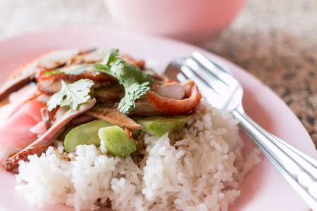 Roast duck on riceの写真素材