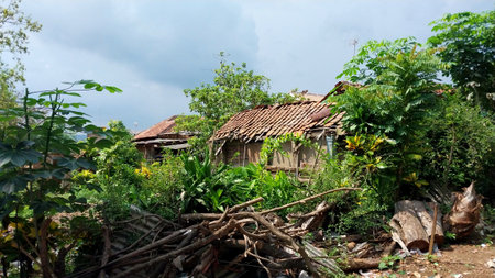 Abandoned rural buildings. Old buildings surrounded by weeds and trees with slightly cloudy skies. Unused building concept. Village atmosphereの写真素材