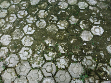 Mossy floor paving. Old road paving seen from above. Suitable for garden floor selection concept, outdoor garden ideas, green gardens, garden paths. Dream home themeの写真素材