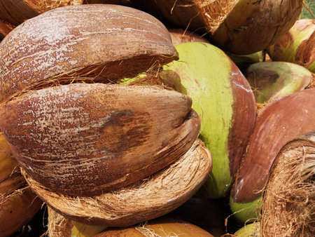 Coconut fiber. Stacks of peeled coconuts stacked. Suitable for business ideas, natural background, coconut shell waste processing concept. Natural backgroundの写真素材
