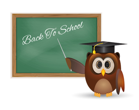 Owl and board with back to school thematic のイラスト素材
