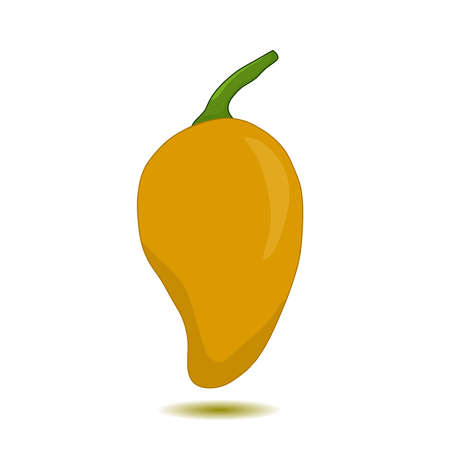 Mango vector drawing icon. Hand drawn tropical fruitのイラスト素材