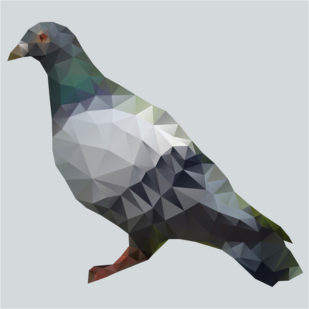 Pigeon polygonのイラスト素材