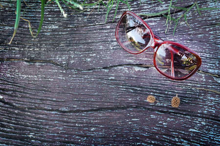 Sunglasses on the rockの写真素材